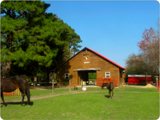 Old Mcfaye S Farm Great Location For Laney S 5th Birthday Party Cowgirl Birthday Party Cowgirl Birthday Birthday Party