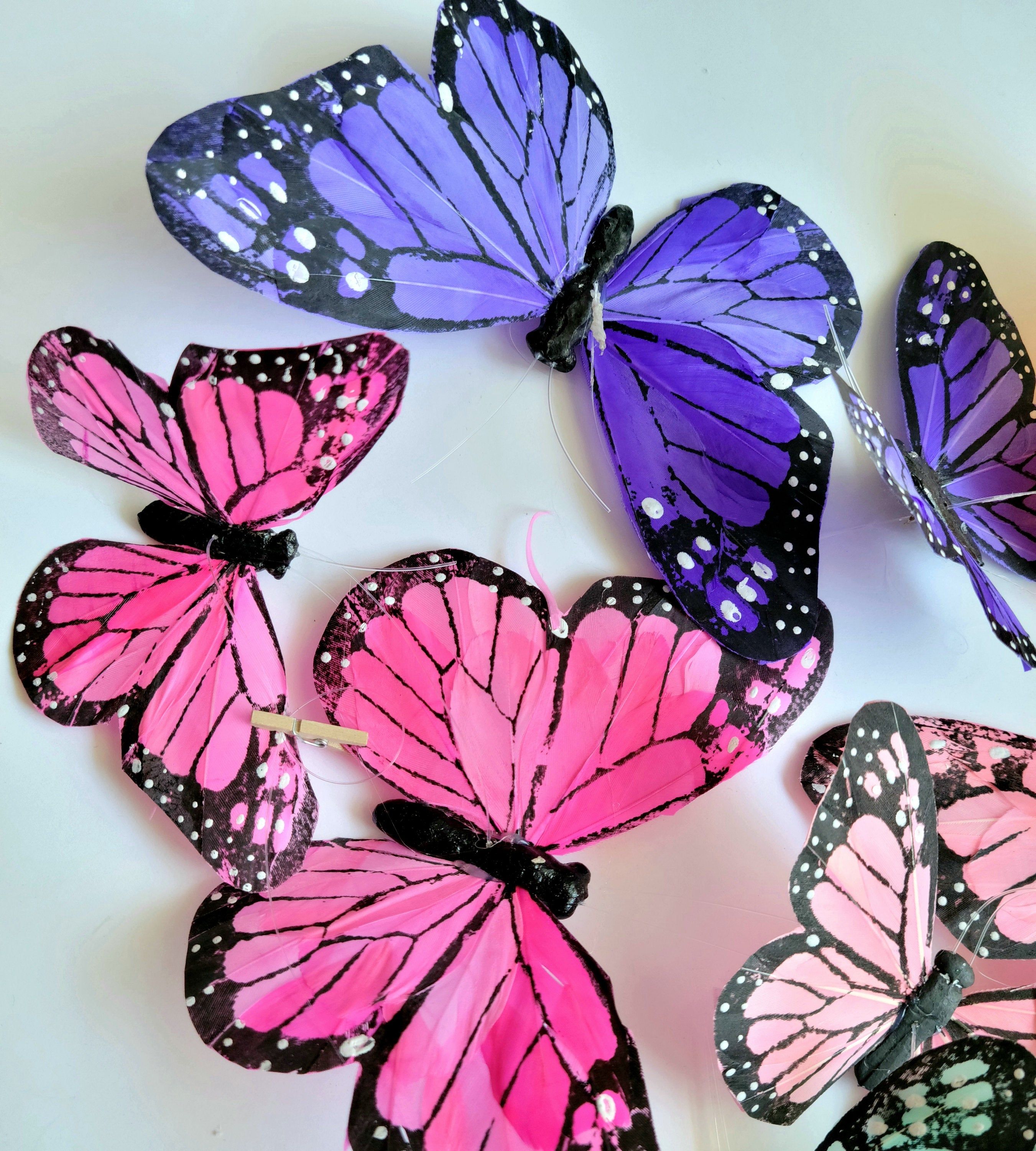 A mixture of 12 beautiful large and medium rainbow Monarch feather butterflies strung together with clear plastic wire. Perfect for your hair accessories, hats, fascinators , party favors, floral arrangements, wedding bouquets, cake decoration, home wall decoration, and more! Larger butterflies measure 7 inches to 5 inches in wingspan. string is about 4 ft long. A mixture of (Pink - Hot Pink - Orange-purple - Mint - back/white) Please check my other listings where you will find other beautiful b Garland Wedding, Wedding Decorations, Largest Butterfly, Fascinators, Beautiful Butterflies, Orange And Purple, Monarch, Accessories Hats, Wedding Bouquets