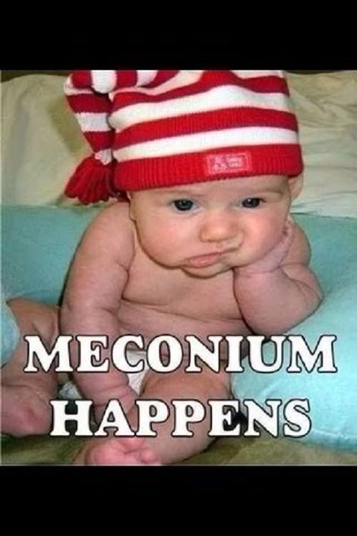Pin By Susie Kanter On Nursies Nurse Humor Funny Nurse Quotes