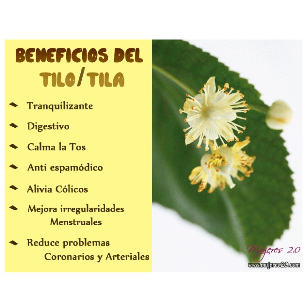 El Tilo Tila Y Sus Beneficios Infusiones Saludables infusi n te tila-tequila-where-are-they-now-mental-disorder-rehab-turning-to