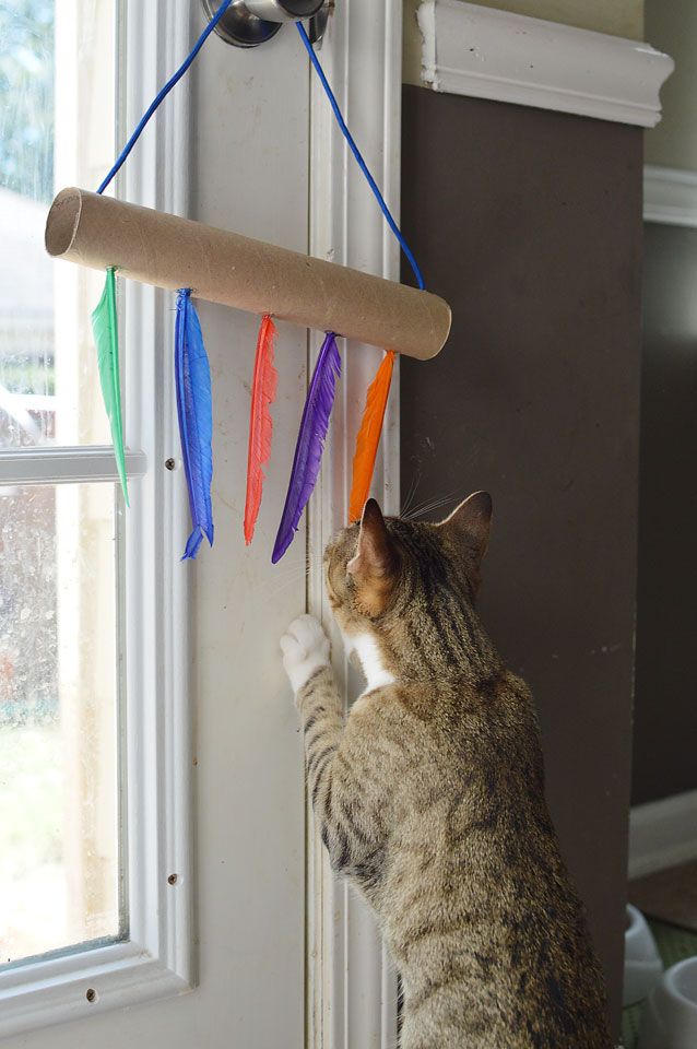 DIY Cat Toys Using Empty Paper Towel Rolls - The Samantha Show- A Cleveland Life + Style Blog