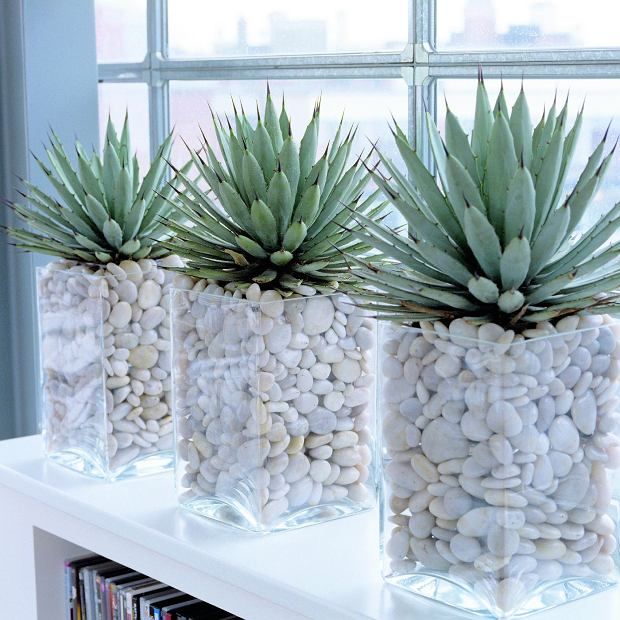 Zdjęcie numer 10 w galerii - Jak wyeksponować kwiaty w domu? Zieleń z fantazją Interior Plants, House Interior Decor, Interior Decorating, Interior Garden, Decorating Ideas, House Interiors, Decorating Kitchen, Design Interiors, Interior Design