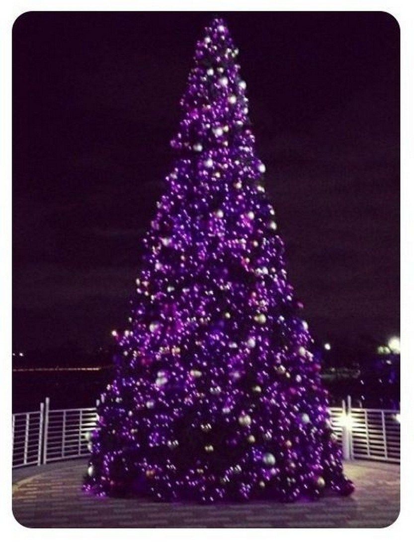 Purple Christmas Trees | Purple christmas tree, Purple christmas, All ... Christmas Trees Decorated Purple