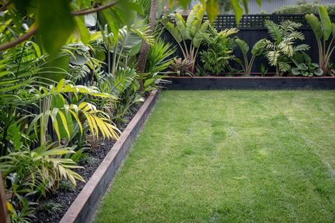 URBAN SANCTUARY FOR THE FAMILY – centrallandscapes Backyard Garden Beds, Tropical Backyard, Backyard Plants, Front Yard Garden, Outdoor Garden, Backyard Ideas, Garden Ideas, Front Lawn, Backyard Pool