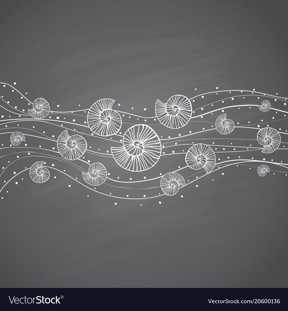 Seashells in waves on chalkboard vector image on VectorStock