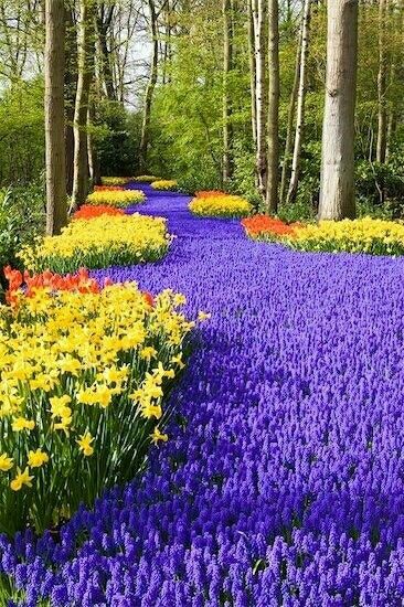 Jardin カメラ Pinterest Paisajes, Jardines y Naturaleza - paisajes jardines Jardin カメラ Pinterest Paisajes, Jardines y Naturaleza - paisajes jardines
