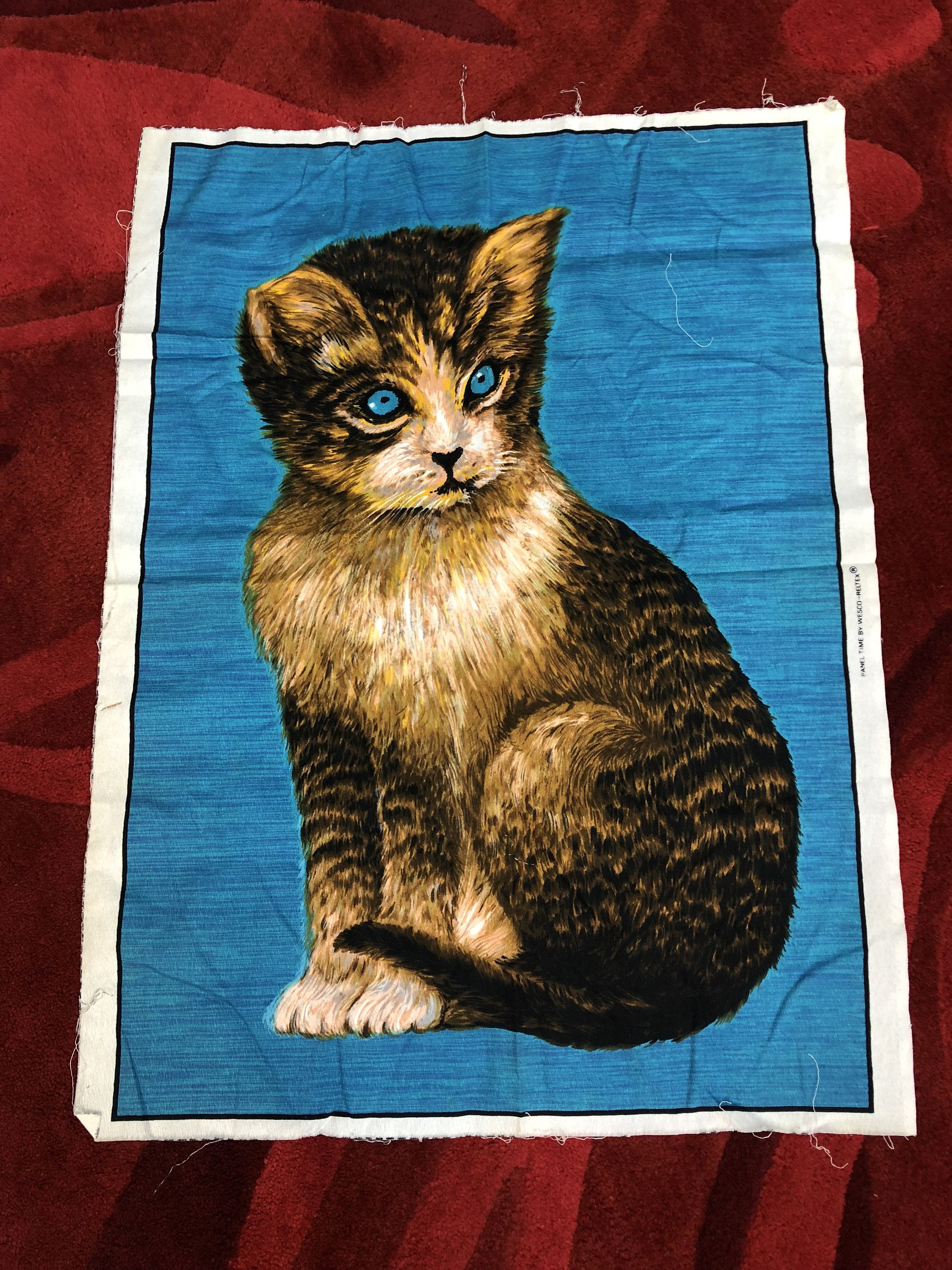 Fabric Panel Vintage Kitten Blue Eyed Cat Picture Fabric Panel Vintage Kitten Blue Eyed Cat Picture