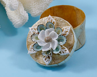 Seashell Art from the Sunshine State by TheSleepyS Seashell Art from the Sunshine State by TheSleepyS