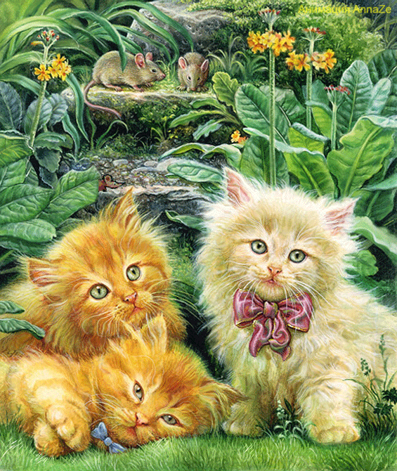 Katzen flirten