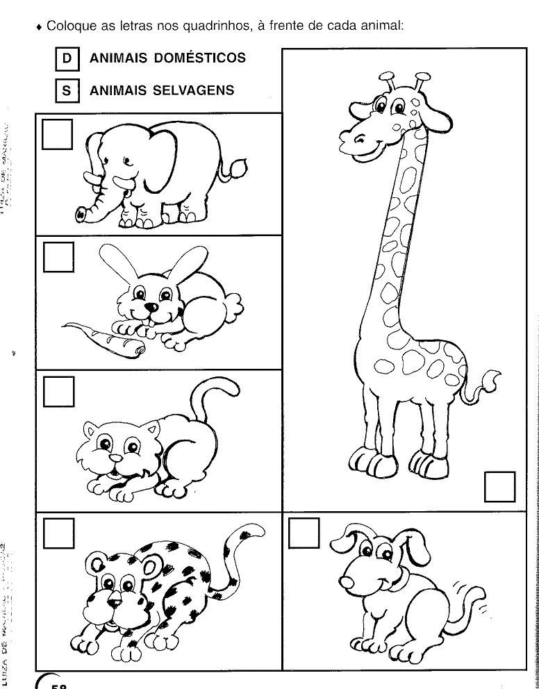 resultado de imagem para animais domesticos e selvagens educação