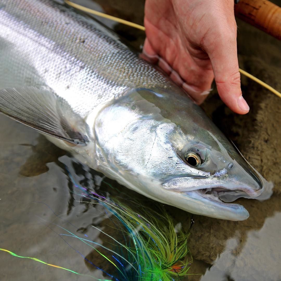 Instagram photo by AOS Fly Fishing </div>
</div>
</div>
</div>
</div>
<div class=