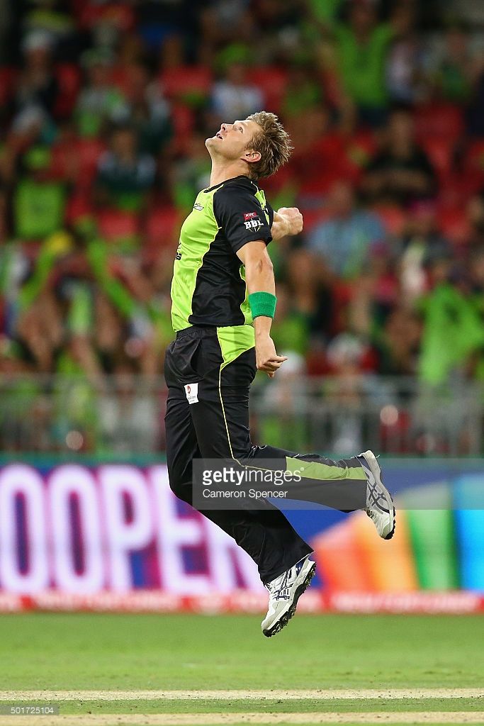 Sydney Thunder, Shane Watson, Chennai Super Kings, December 17, Sydney Australia, Beautiful Indian Actress, Indian Actresses, Cricket, Stadium