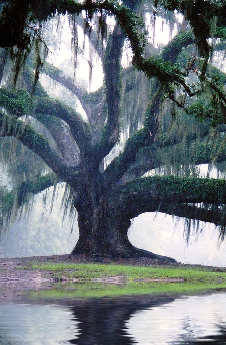 19 Most Beautiful Places to Visit in Louisiana