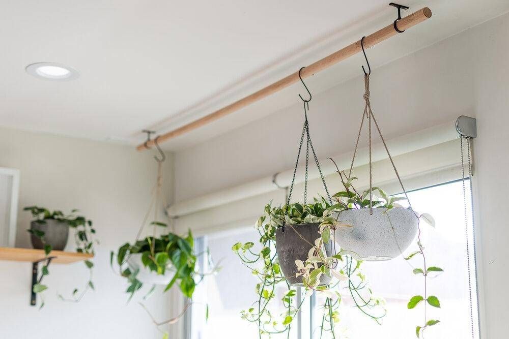 13 Hanging Planter Ideas To Bring Beauty To Any Space Hanging Planters Indoor, Plant Decor Indoor, Hanging Pots, Indoor Garden, Hanging Ladder With Plants, Outdoor Plant Wall Ideas, Diy Wall Hanging Planter, Hanging Potted Plants, Indoor Plant Hangers