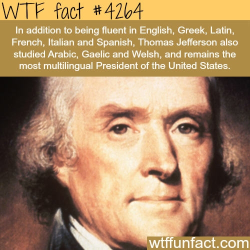 Fun Factss Facts Weird