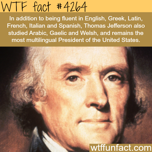 WTF Fun Facts