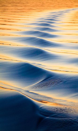 Ripples ~ Waves created by a boat on totally flat ocean. The colours are created by the setting sun. Location: Exmouth Gulf / Western Australia, © Sascha Unger #waterripples