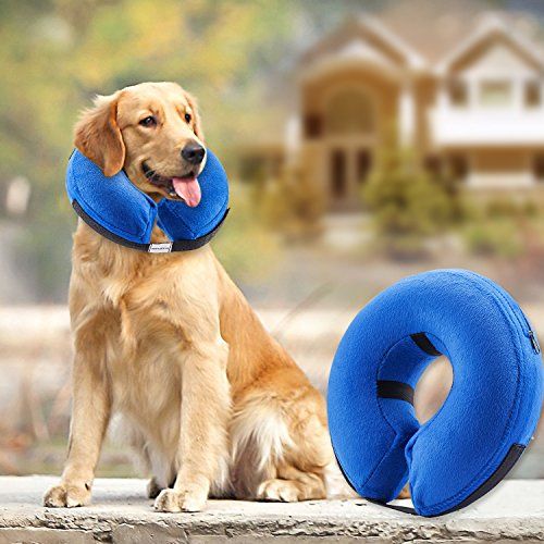 Pin On Pet Supplies