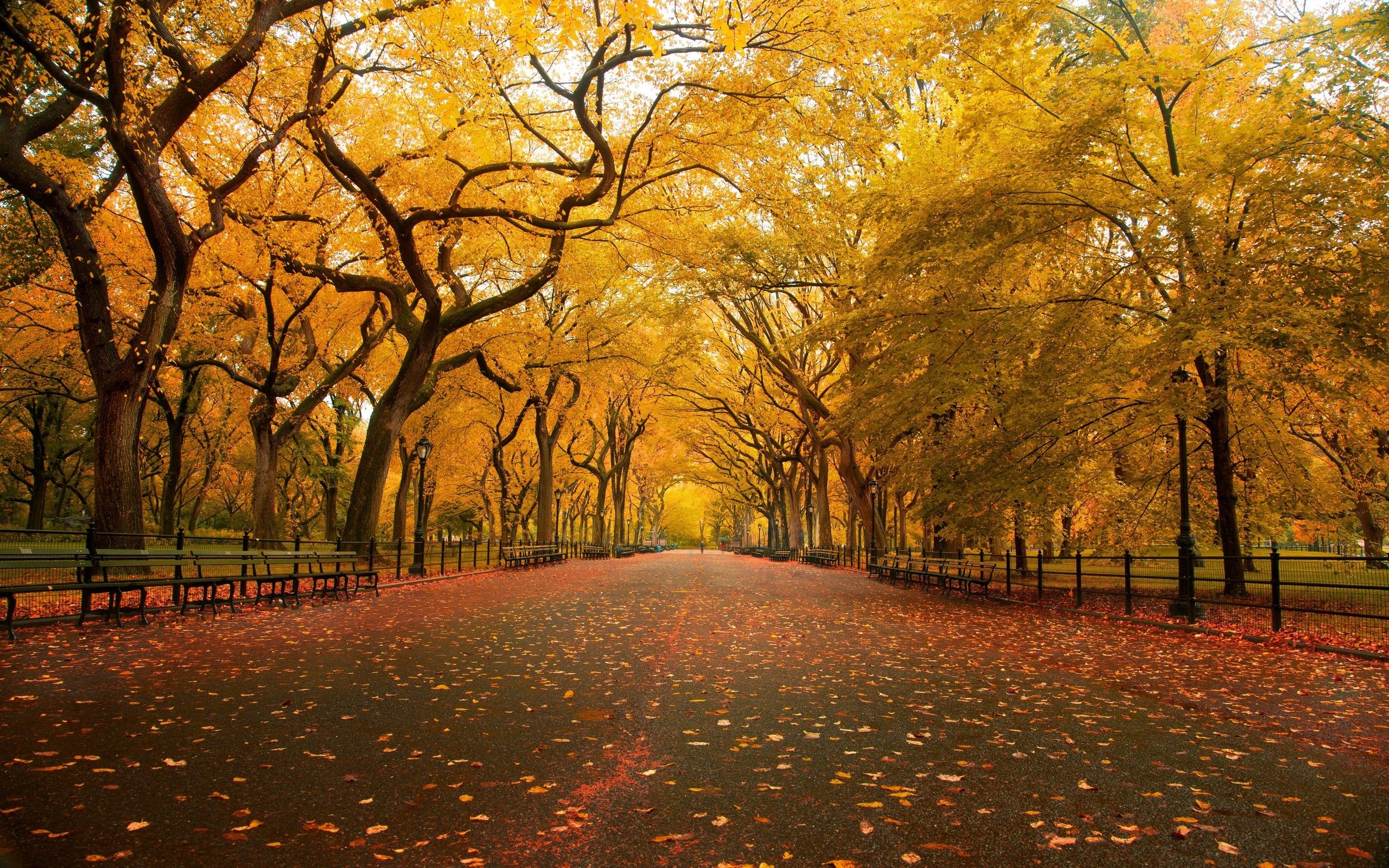Central Park In The Fall 美しい風景 風景 妊活 Central Park In The Fall 美しい風景 風景 妊活