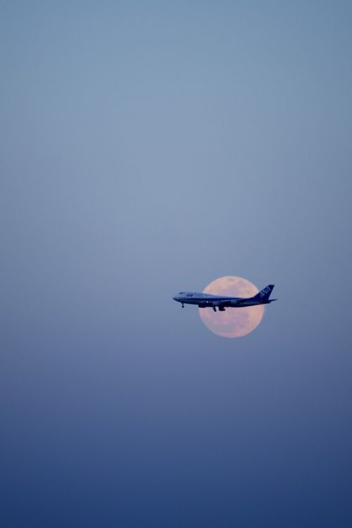 Pin By Nevaeh In Nirvana On Fly Me Away Airplane Wallpaper Screen Wallpaper Aesthetic Wallpapers