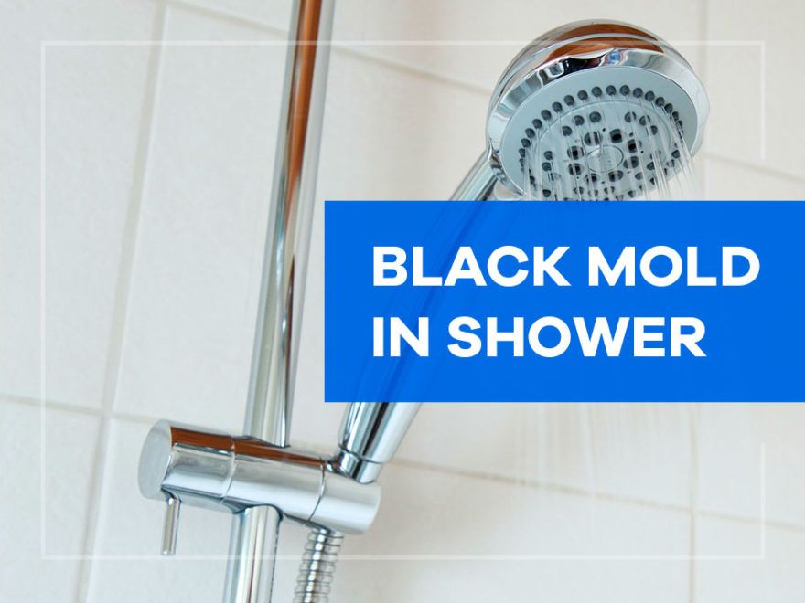 Black Mold in Shower How to Get Rid of It House