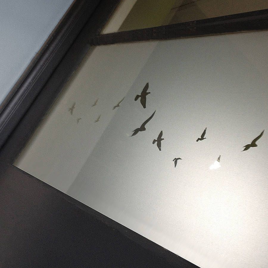 Flying Birds Dry Ly Window Film Apartment Flying Birds Dry Ly Window Film Apartment