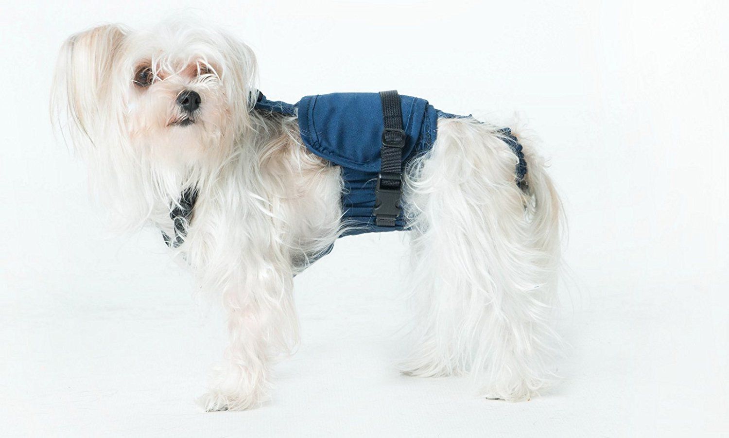 Xs Long Dog Diaper Wrap 6 Pounds To 8 Pounds Redesigned Click