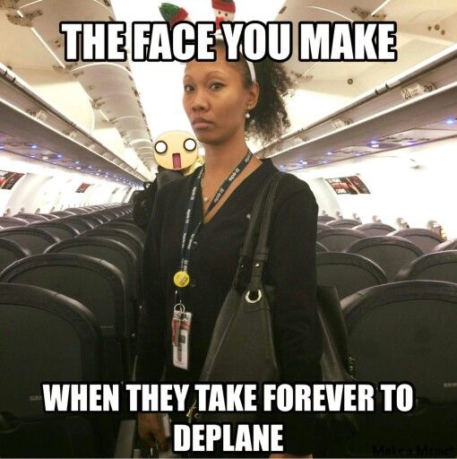 American airlines funny quotes