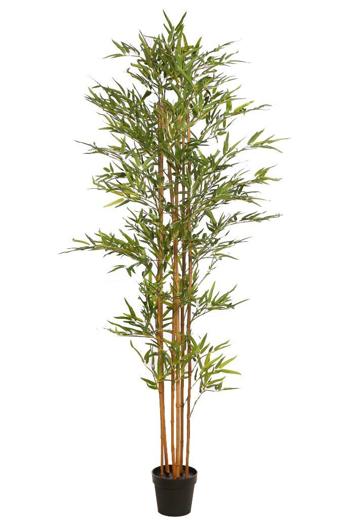 Bambú Amarillo Artificial Altura 190 cm