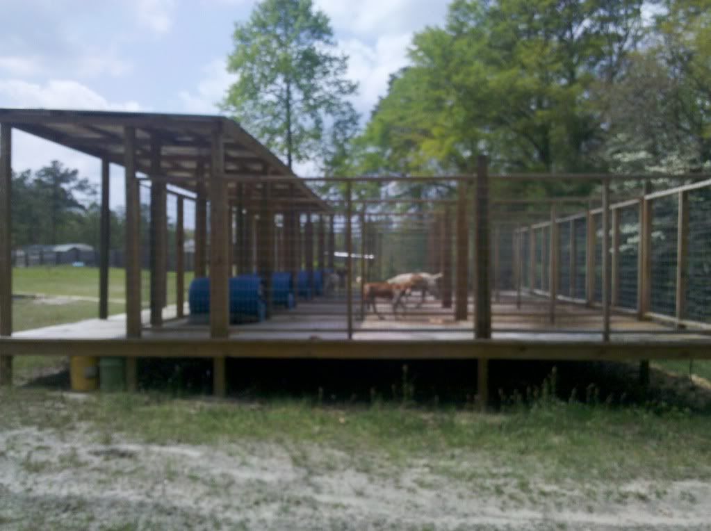 Ukc Forums More Above Ground Kennel Pics Please Kennel Ideas