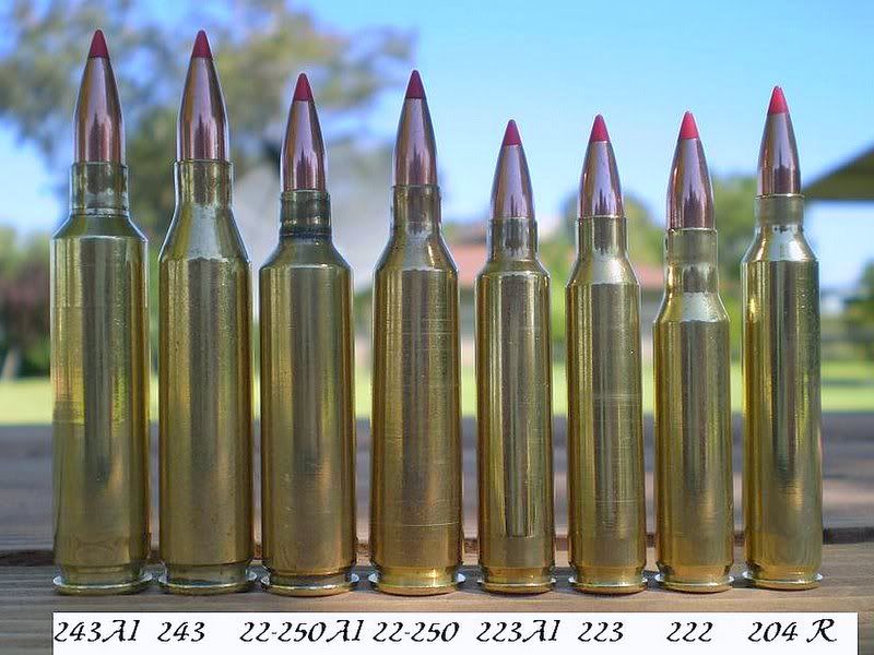 243 vs 6.5 grendel - Google Search Guns And Ammo, Firearms, Wine, Bullets, ...