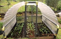 Et si vous construisiez un abri de jardin avec des bouteilles en plastique ?