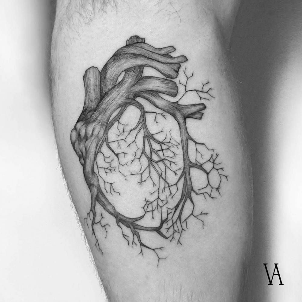 Linework Anatomical Heart Tattoo By Harry P Anatomical Heart Tattoo Heart Flower Tattoo Anatomy Tattoo