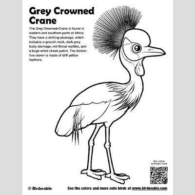 Cute Bird Coloring Pages page 2 by Birdorable Free Downloads Bird