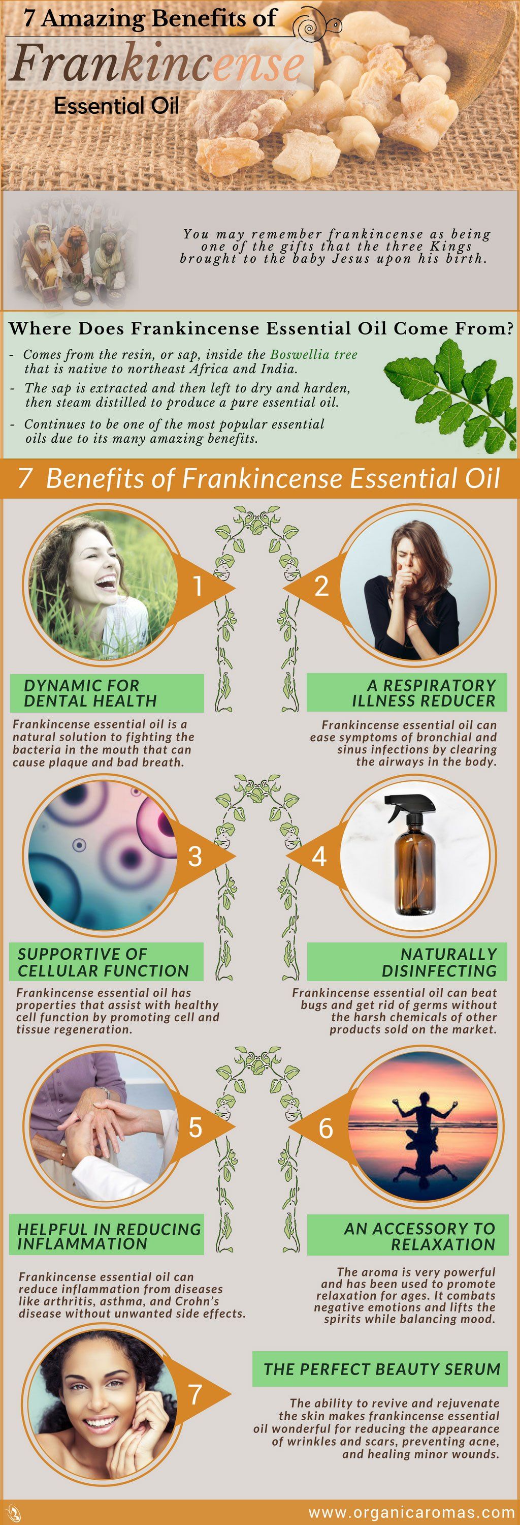 7 Amazing Benefits of Frankincense Essential Oil #essentialoils #OrganicAromas Frankincense Essential Oil Benefits, Essential Oils For Pain, Essential Oils Guide, Essential Oils Aromatherapy, Essential Oil Recipes, Young Living Essential Oils, Essential Oil Blends, Doterra, Arthritis