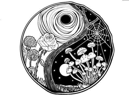 ying yang night and day neither exists without the other and
