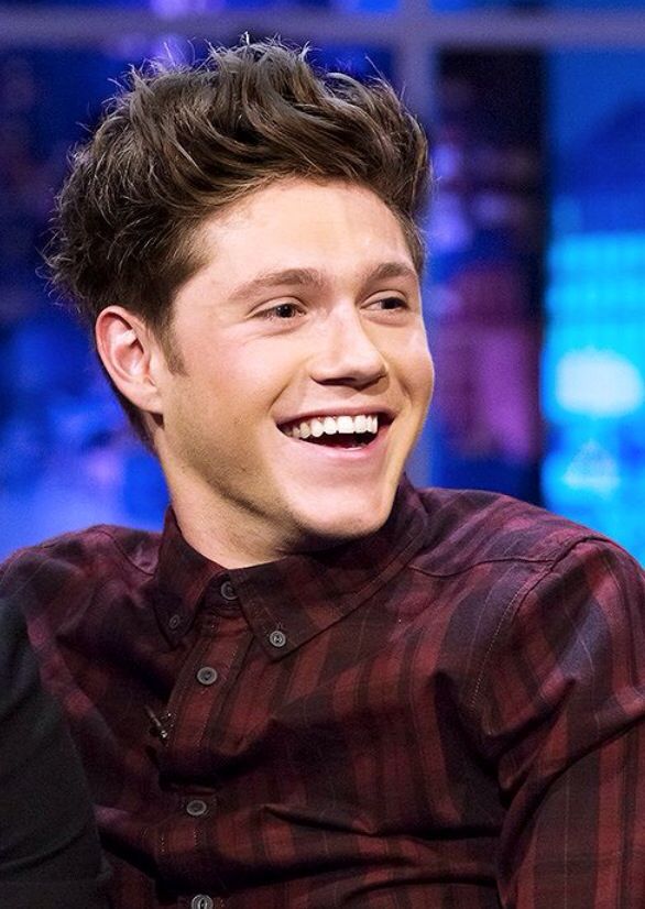 People Are Saying Niall Looks Less Attractive With Brown Hair Well People Are Saying Niall Looks Less Attractive With Brown Hair Well They Need To Shut Up That S His Natural Color And He Gor Geous