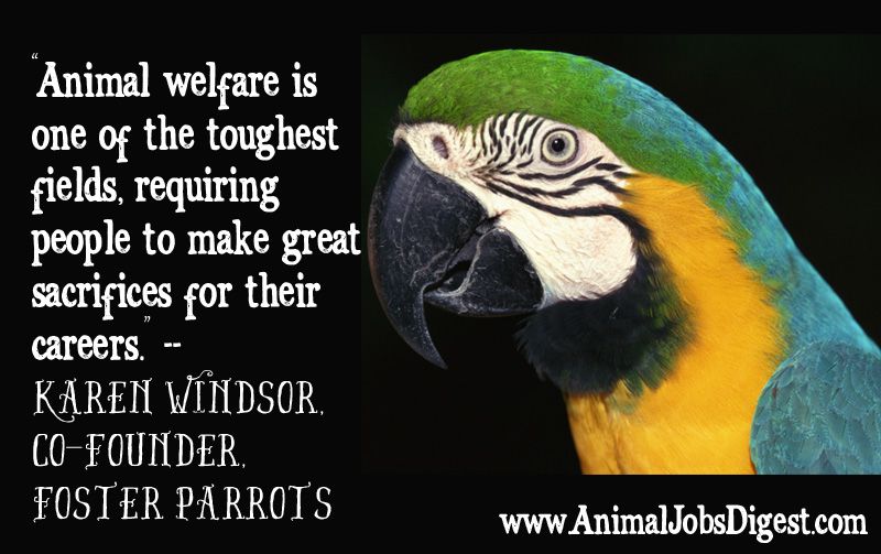Animal Welfare Work Is Demanding Indeed animal-welfare-work-is-demanding-indeed