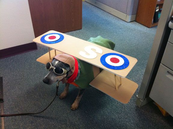 Halloween Photo Contest Entry Snoopy And The Red Baron Dog