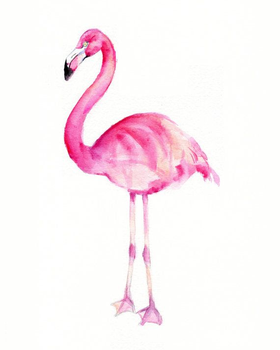 Pink Flamingo Home Decor Watercolor Print Flamingo Wall Art Print Coastal Decor Wall Art Print, Flamingo Print from Original Watercolor