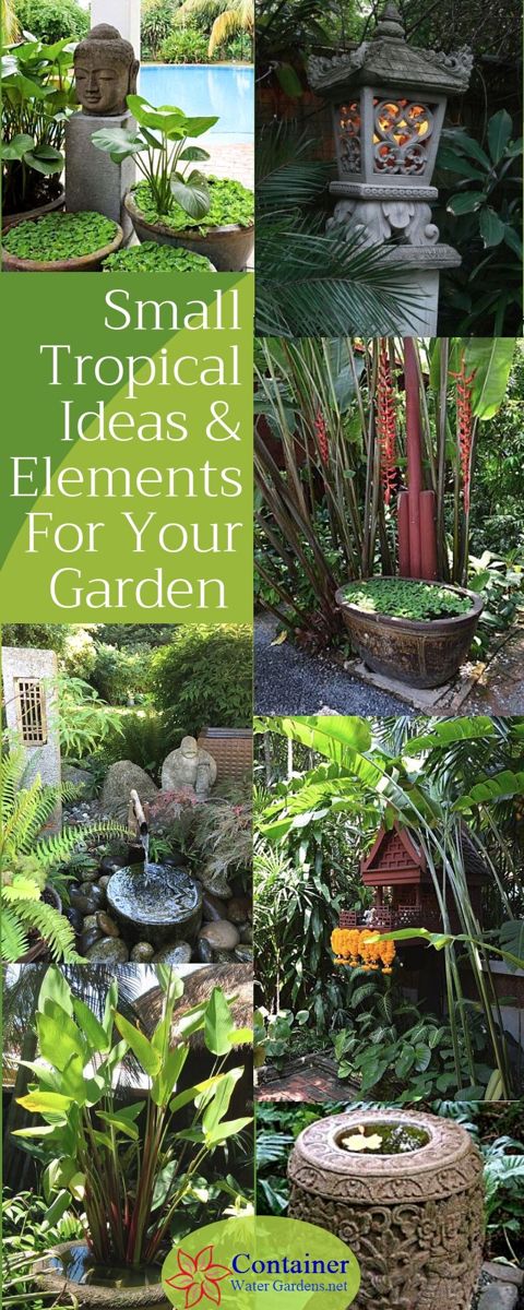 Balinese Style Gardens - Container Water Gardens