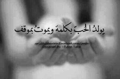 عندما أحببتك أحببت المدينه التي تسكنين أنت بها أحببت كيفية كتابة أحرف اسمك صوتك ضحكتك أحببت كل شي يتعلق بك أحببت True Words Quotes Quotations