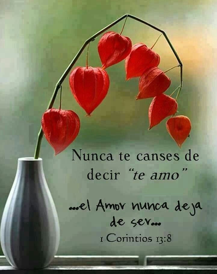 Beatriz (Sueños y Romance): Ti amo