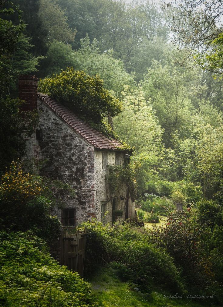 I'd like to spend a rainy day in a place like this, just me and my best frie #modernwitch