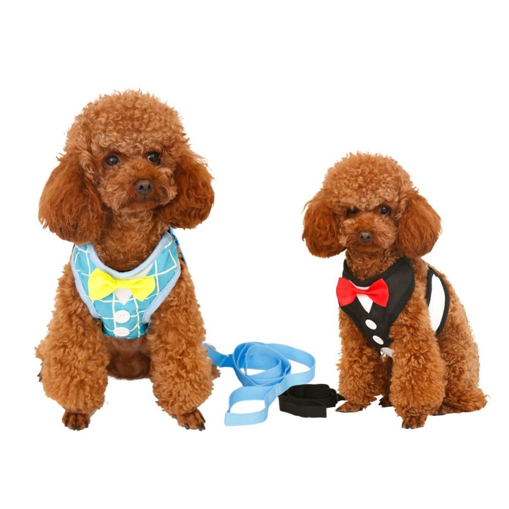 Comfortable Evening Dress Harness And Leash With Bow Tie Harness