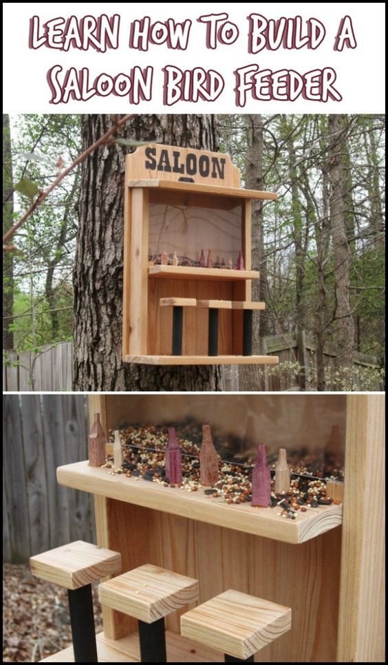 Do you want to make new feathered friends in your beautiful yard? Then invite them by making a saloon bird feeder! :) Squirrel Feeder Diy, Wood Bird Feeder, Bird House Feeder, Bird Feeders, Bird House Plans, Bird House Kits, Wooden Projects, Outdoor Projects, Bird Aviary