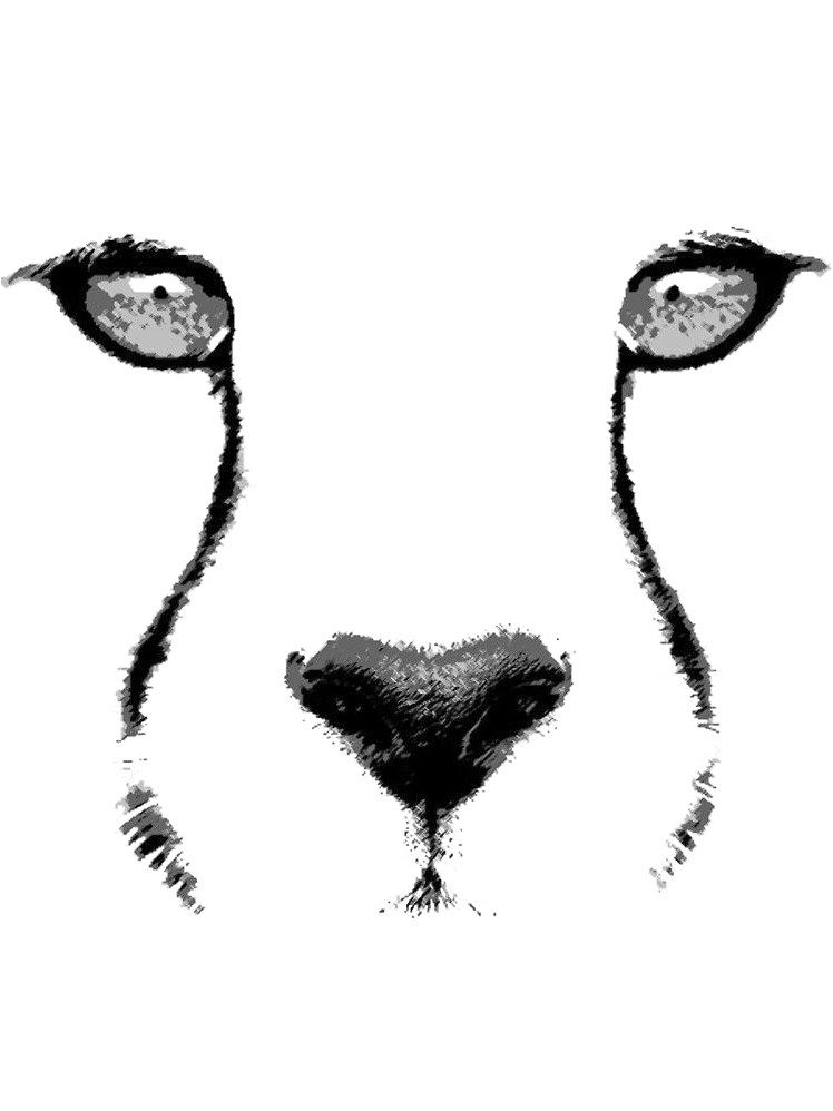 Popular Tattoos and Their Meanings Cheetah print tattoos, Cheetah