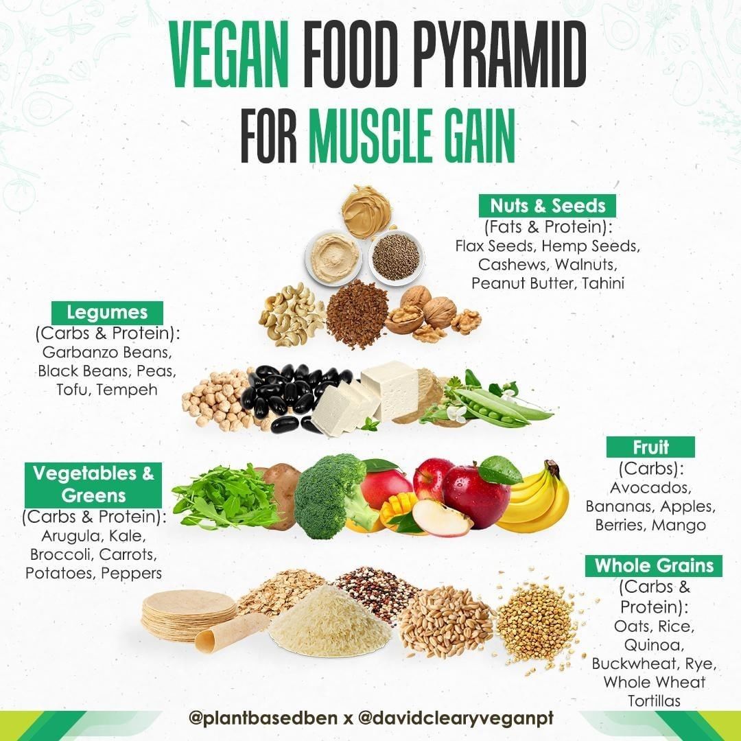 Vegancommunity On Instagram The Real Nutrition Pyramid Don T Forget To Follow Araujocesar In 2020 Nutrition Pyramid Nutrition Vegan Food Pyramid