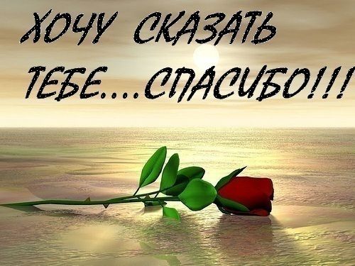 Открытки Спасибо - хочу сказать тебе спасибо