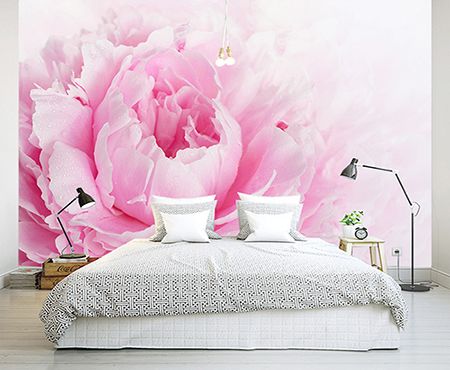 Téléchargement gratuit Images Macrophotographie Papier Peint Photo Panoramique Pivoine Rose dernière salutations